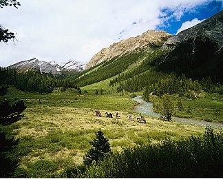 抢劫游戏新作《Fairgames》封测注册渠道悄然开启